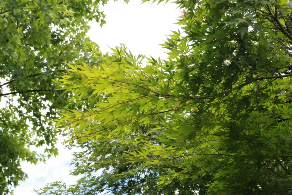 於是。我開始寫字