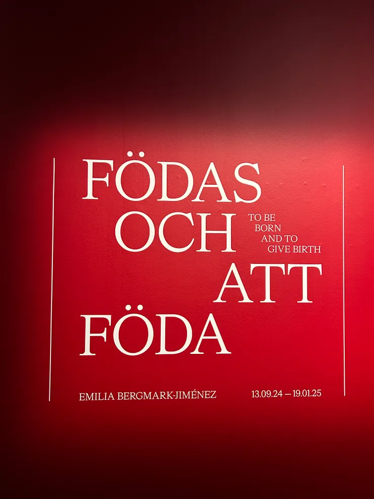 數一數二震撼的展覽，不枉費我們那天繞了超久路才到的攝影博物館。展覽主題是 To be born and to give birth. 展場充滿了生育現場的瞬間。