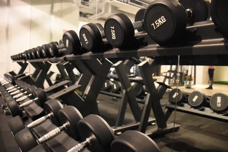 啞鈴重量分得很細，適合女生從小重量慢慢練