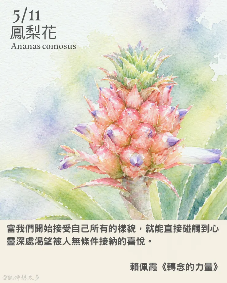 鳳梨花 × 賴佩霞《轉念的力量》
