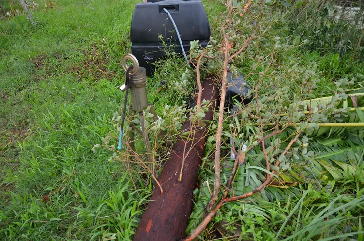 鄰地的大樹倒在我們農地上，一口氣砸毀兩台抽水馬達