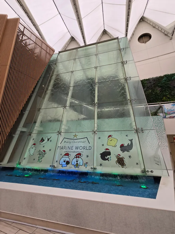 漂亮的水池造景