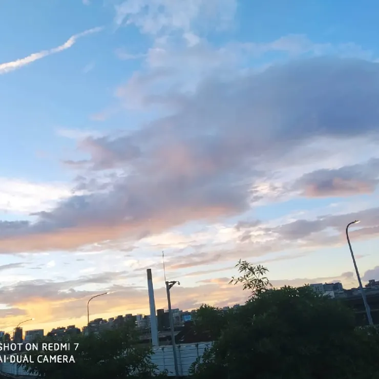 從教室旁的陽台向外一瞥，就被眼前的顏色吸住了目光