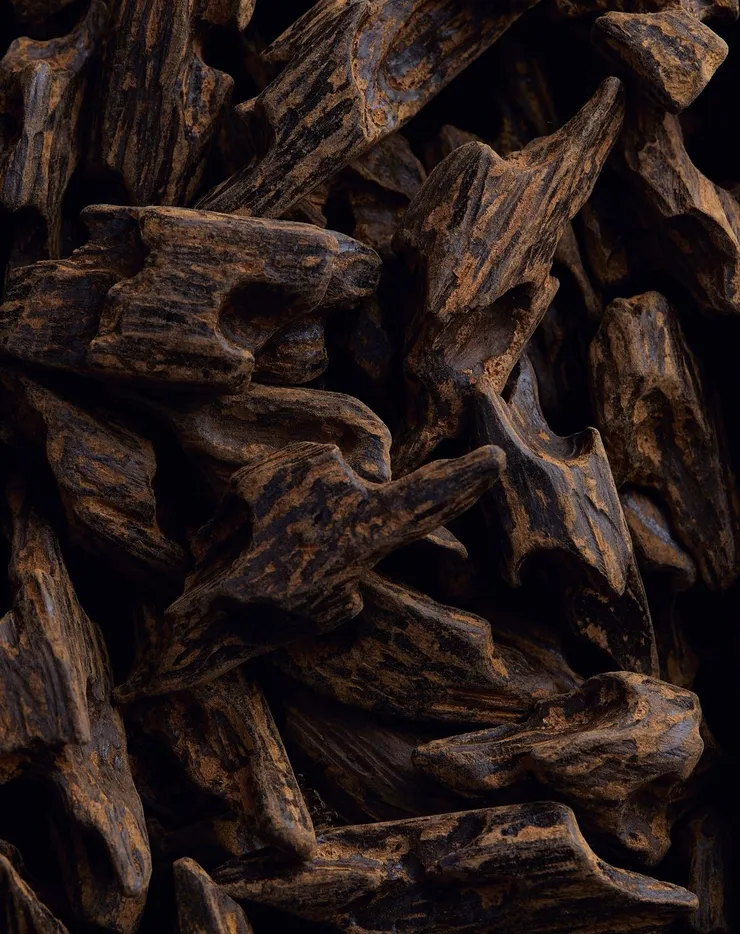 圖片來自Pinterest