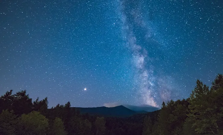 （圖／pexels；攝影師：Hristo Fidanov: https://www.pexels.com/zh-tw/photo/1252873/）