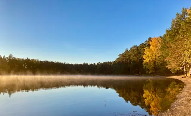 日出時分去海邊散步，美麗的晨光照耀下，驚見海平面有霧氣飄渺著。