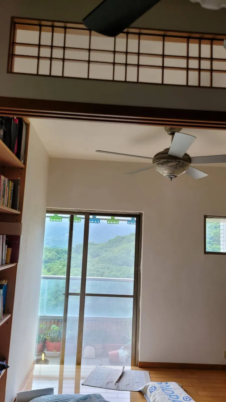 窗外朦朧的藍綠色