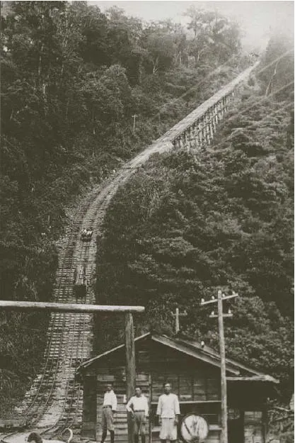 八仙山林場（圖片取自八仙山國家森林遊樂園區官網）