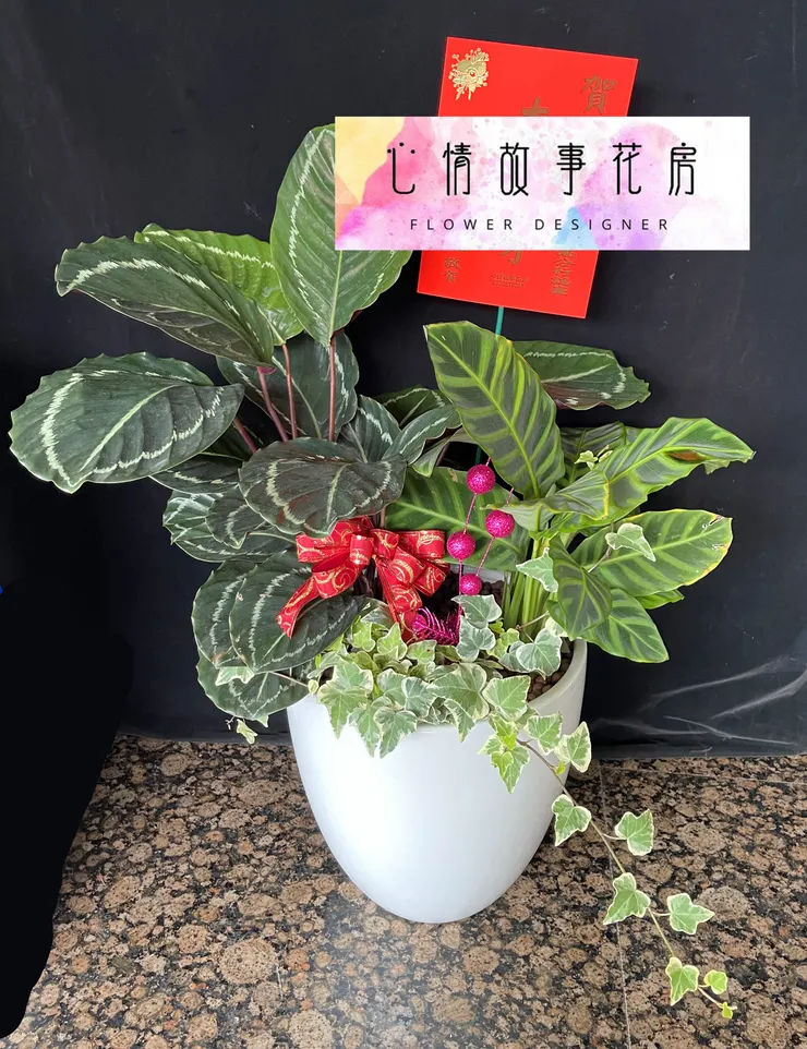 台南安南區花店【心情故事花房】：結合強健植栽的多樣化組合盆栽，為室內環境增添活力、美感與長久持續的健康生長