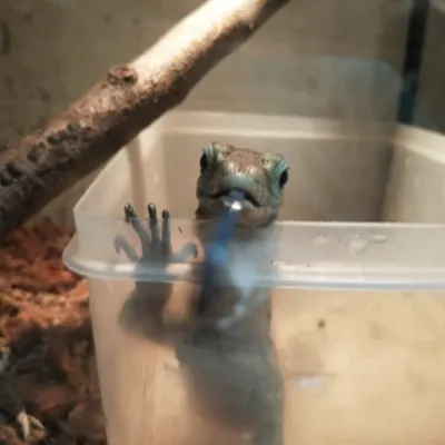 阿玄的設計跑跳碰的沙龍