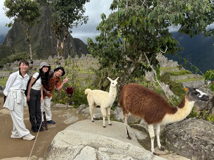 This is the perfect ending! 🥰