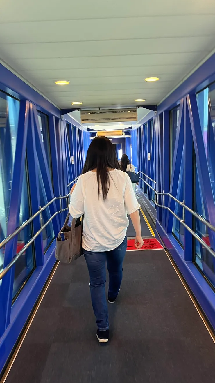 藍色的空橋滿醒目。