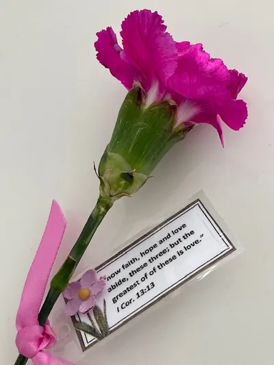 《康乃𧅥花語》