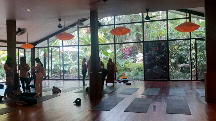 yoga barn的大教室，一進來被這片落地窗跟綠色植物療癒