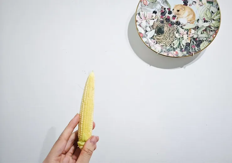 買到品質很棒的現剝玉米筍，肥碩美麗。