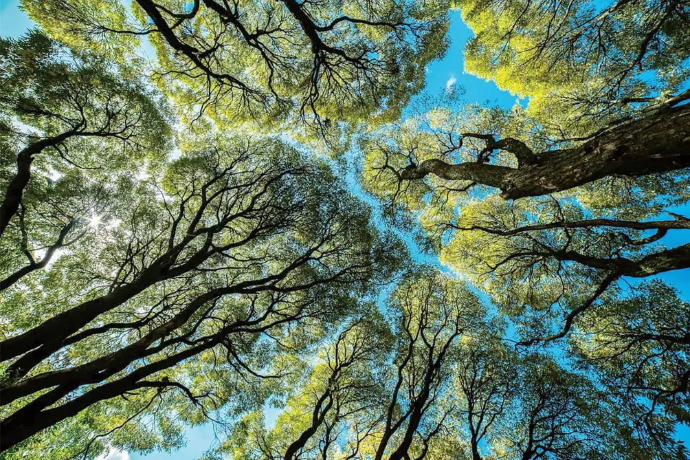 未完待續的沙龍