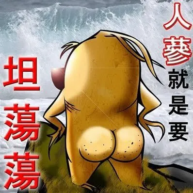 老不修的沙龍