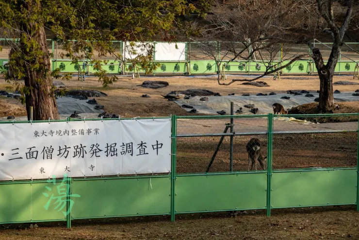 古蹟挖掘中，但鹿可進入。
