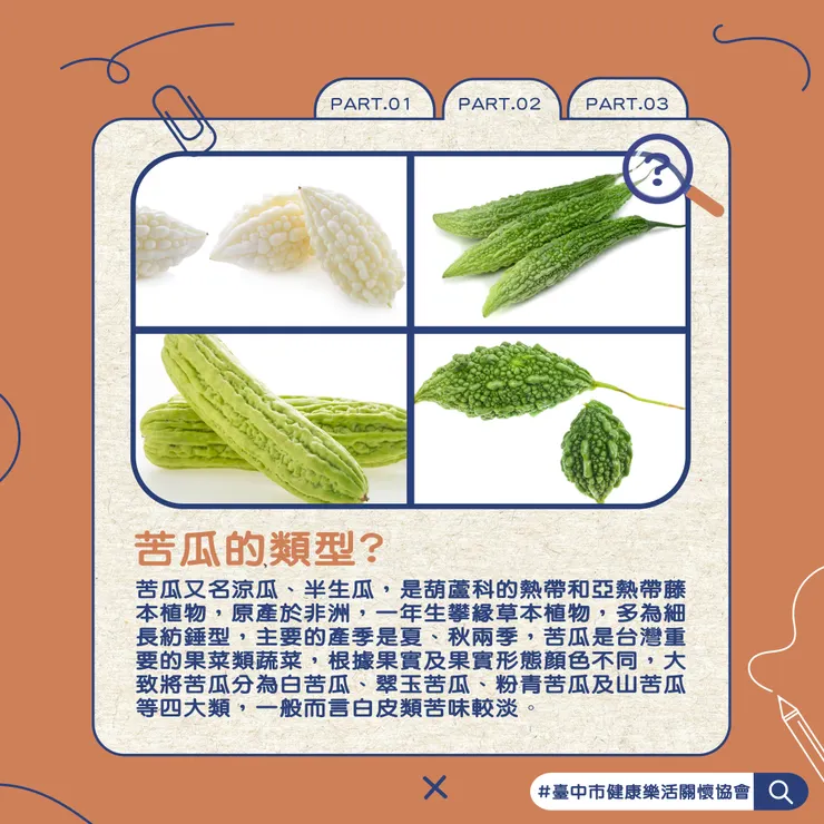 PART.2苦瓜的類型?