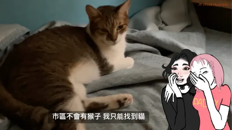 免費迷因圖 免費AI人聲 網路世代比的是無框架思考 不是執著在工具