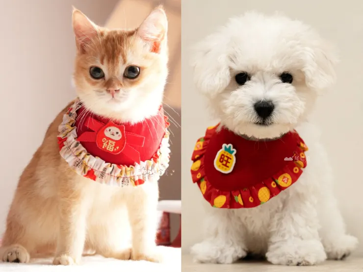 圖說：寵物過年穿新衣！喜氣洋洋的應景原創花布，讓毛孩瞬間化身最可愛的招財使者。（資料來源：貪貪Munchee、尾巴丘毛孩選物）
