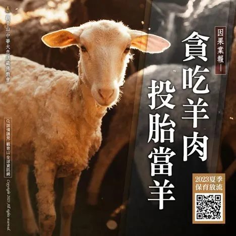 因果報應真實案例--貪吃羊肉 投胎當羊