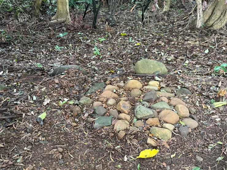 2026/02/01 來看圓圓