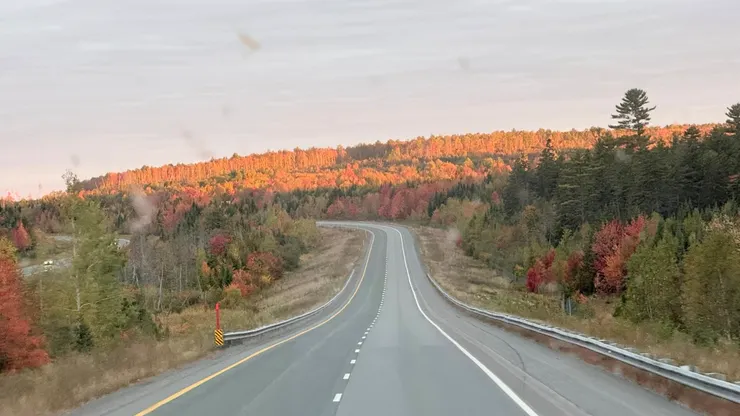 早上都行駛在楓紅公路上