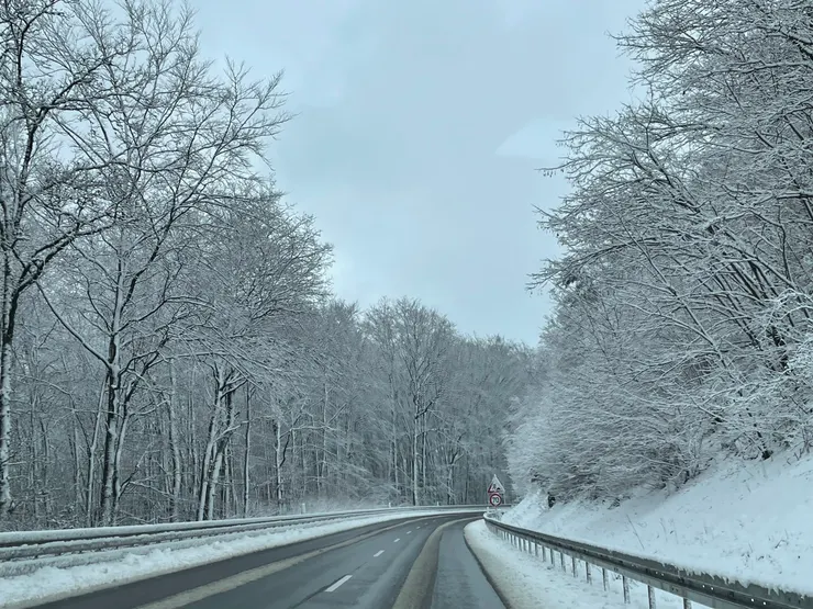 兩側的樹林都被白雪覆蓋，開車在其中很夢幻。可惜照片拍不出那個美