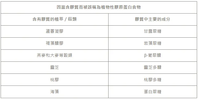 植物的膠質-森崎SENGI
