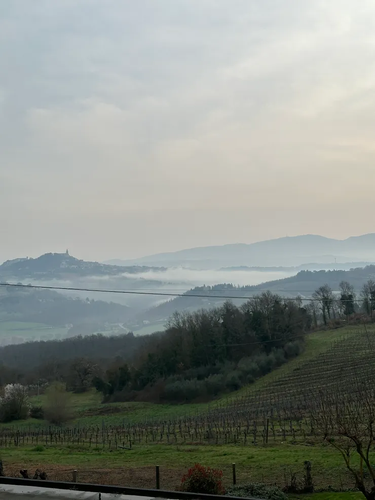 女兒寄來房間窗外的山景，遠處有山嵐