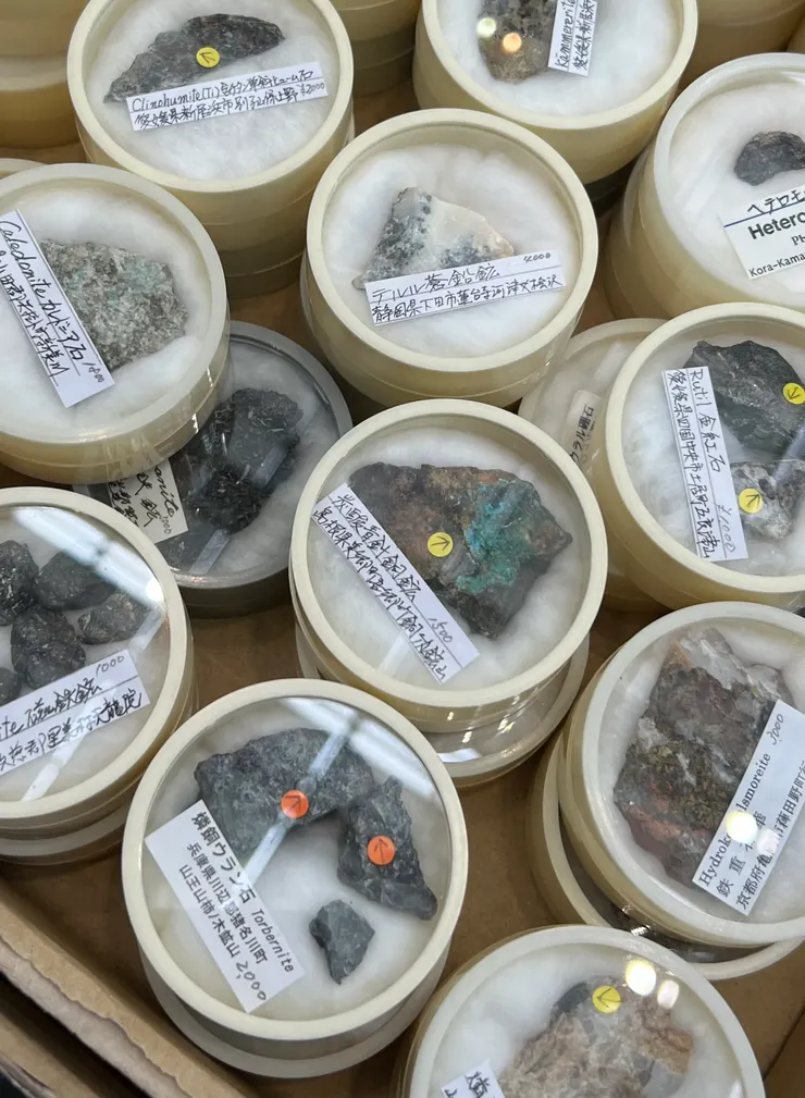 日本本地的各種礦石,還有礦商親筆寫的礦標卡,好喜歡呀!
