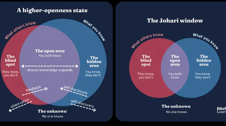 「喬哈里窗」（Johari Window）