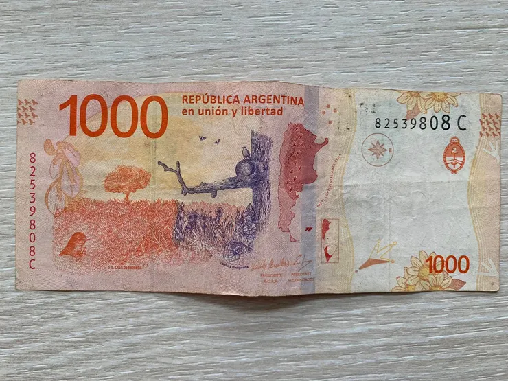 阿根廷一千披索紙鈔背面,為彭巴草原美景