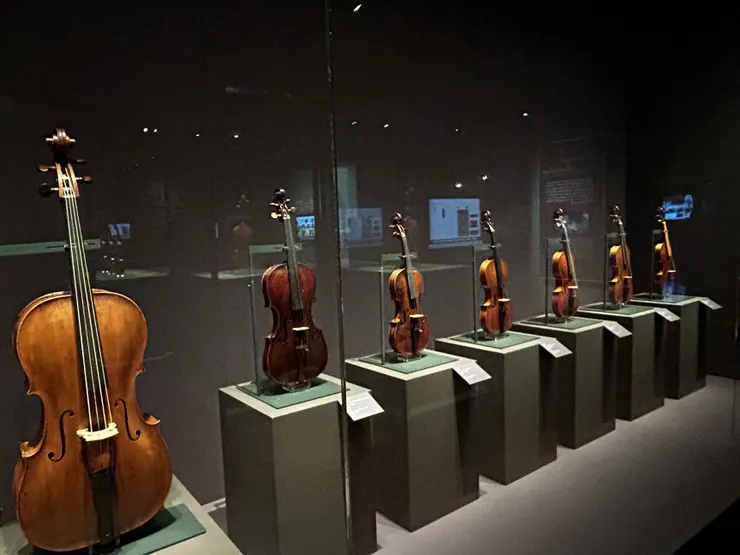 小提琴收藏
