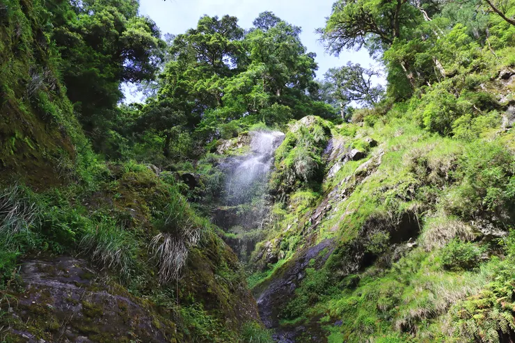 ▲中央尖溪溪流之美