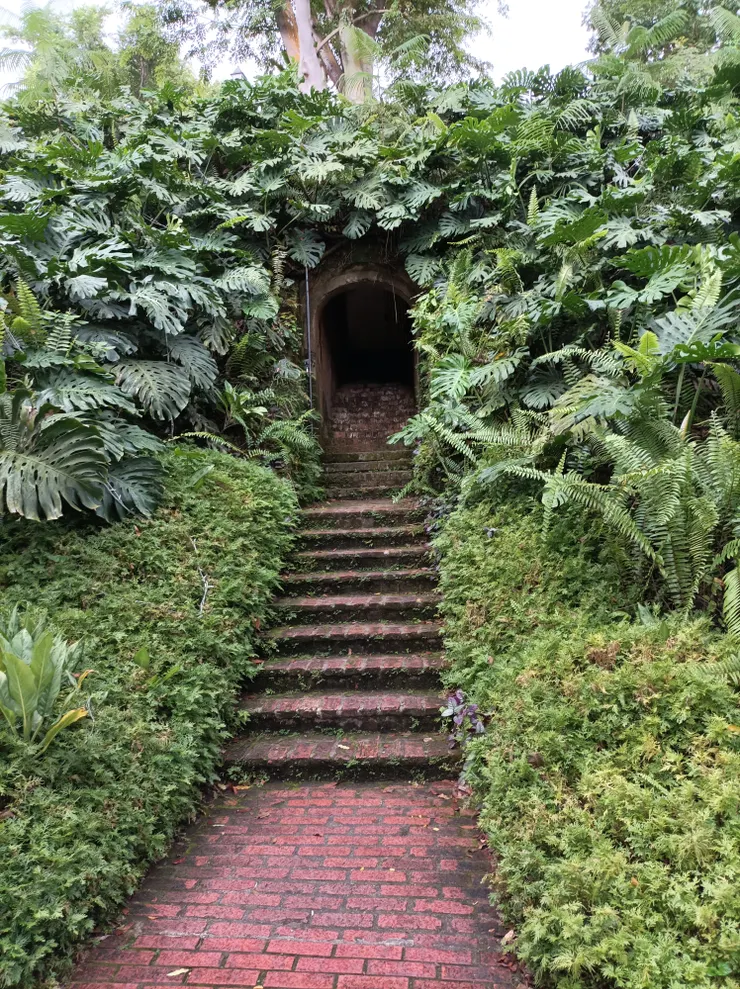 由此進入，往上走，葉頂是出口…