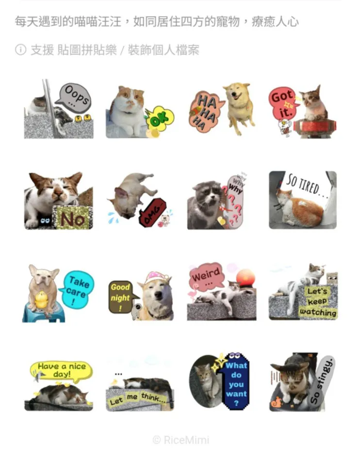 貓狗雲集 英文版