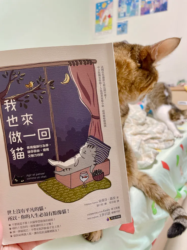 我也來做一回貓