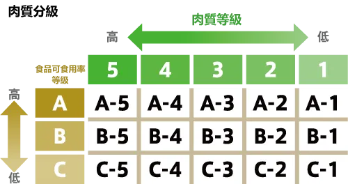 A、B、C，3個等級，1到5評分，A5是最高等肉質