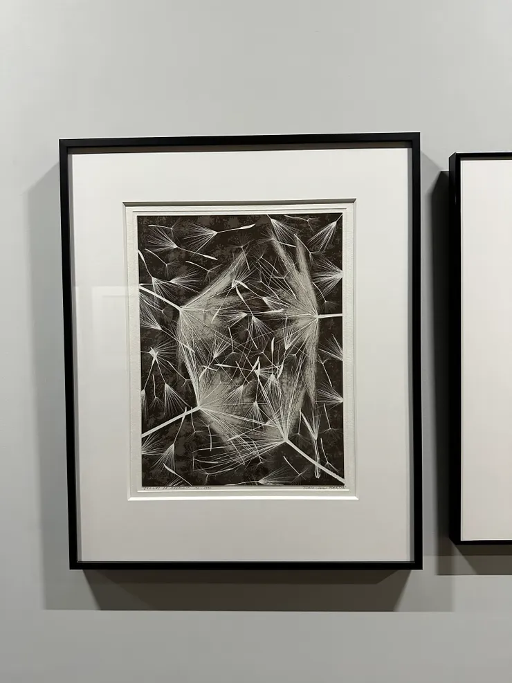 ·路易斯·馬丁(Pierre-Louis Martin)的作品《蒲公英的種子(Graines de Pissenlit)》