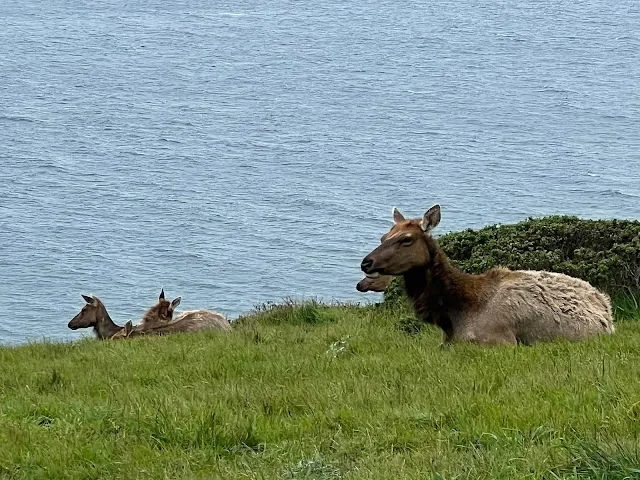 ▲你可以再靠近一點