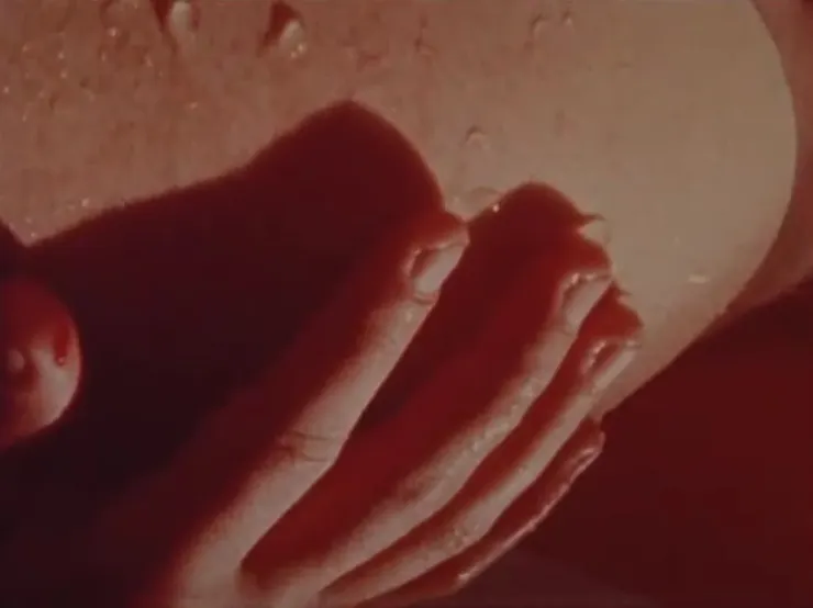 40.《水窗中的顫動嬰兒》（Window Water Baby Moving，1959）🇺🇸 dir. Stan Brakhage