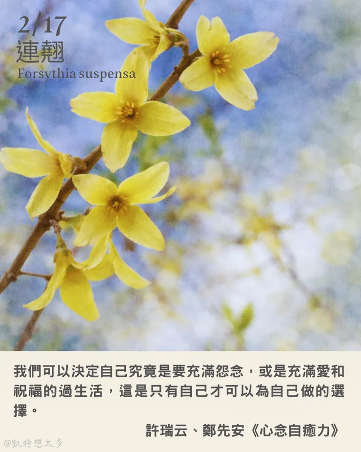 2 月 17日｜連翹×許瑞云、鄭先安《心念自癒力》