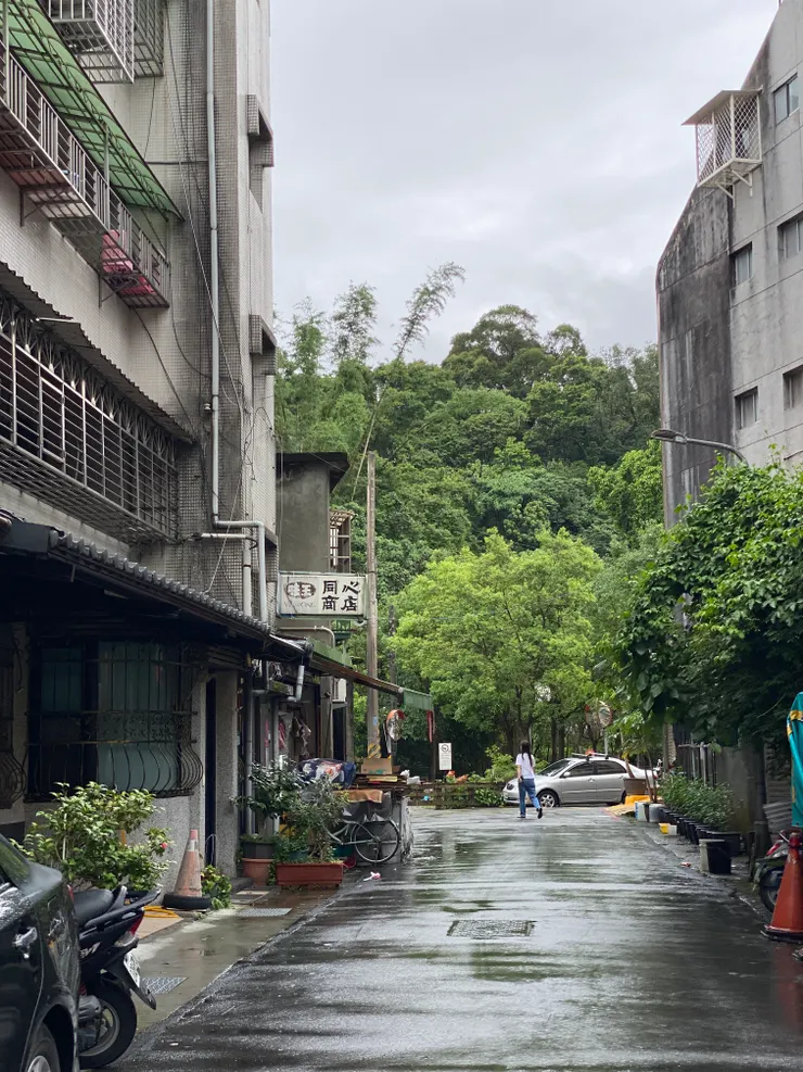 和新路44巷走到底，靠近山邊有整齊的公園綠地