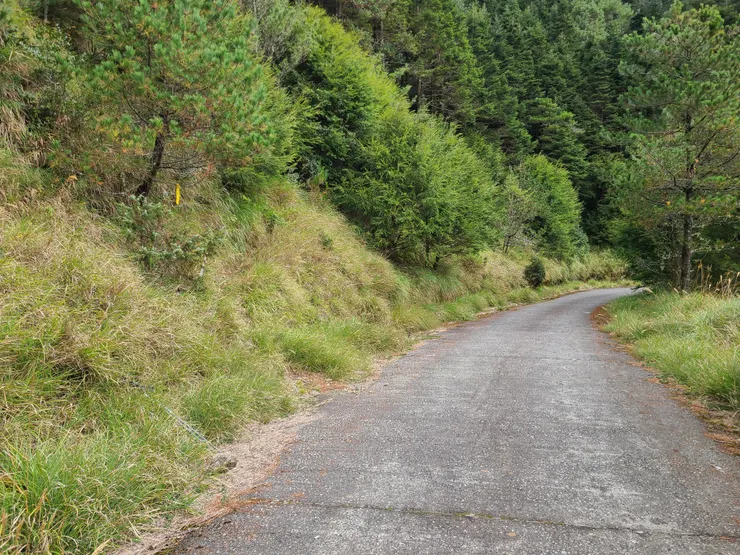 拾丸山登山口，取左上切