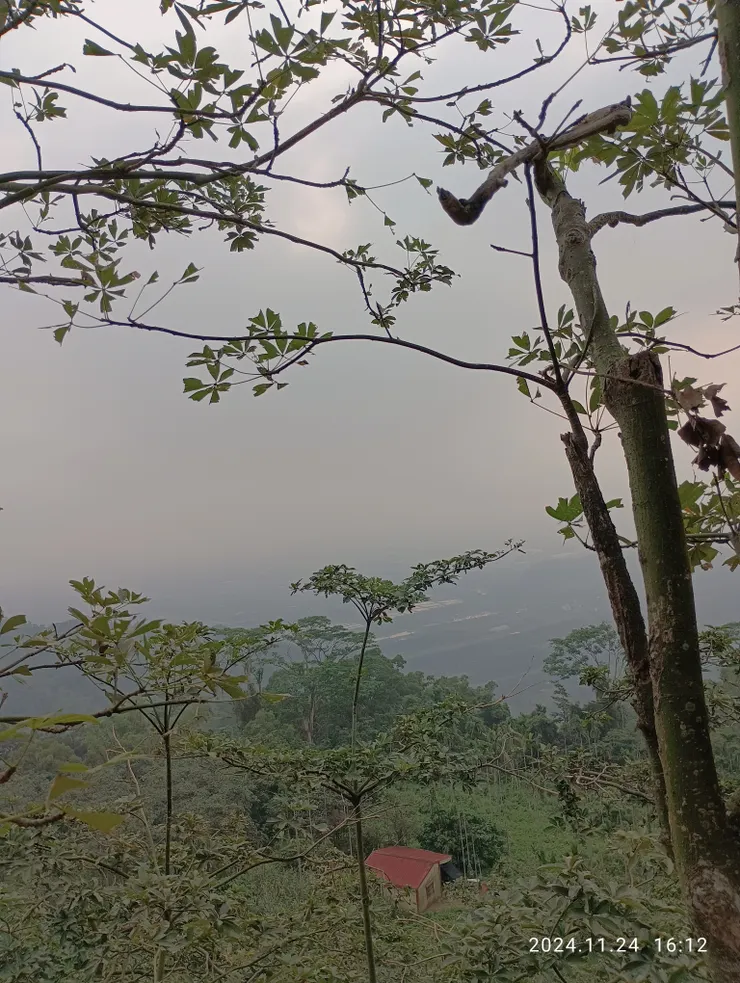 山登高頂風冷，自拍攝