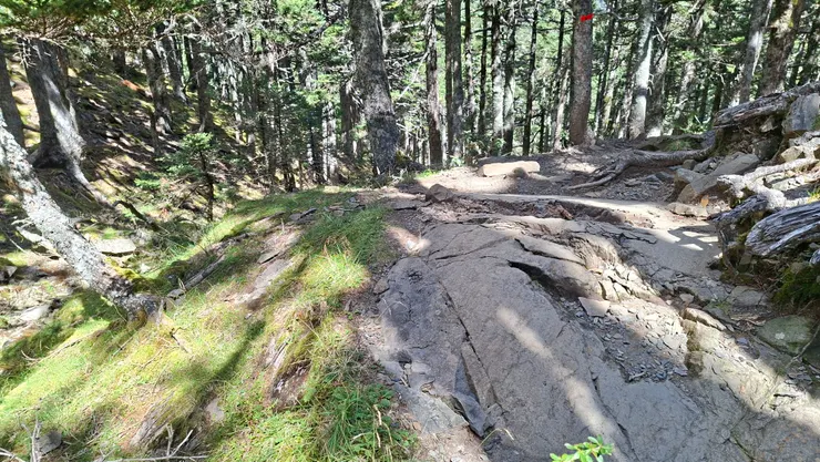 9K 乾溪溝旁,有一塊石頭上留有冰河擦痕。