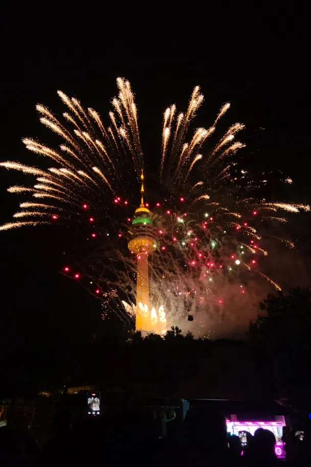 2024年11月特別活動