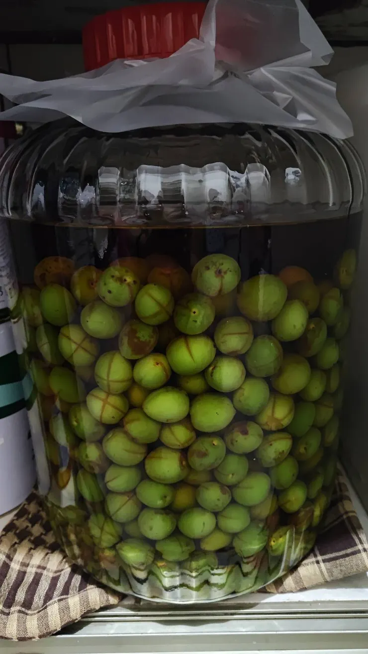 希望這甕可以喝超過三年